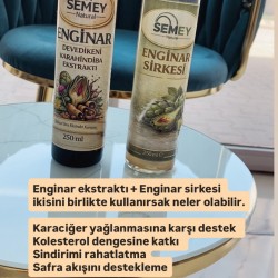 KARACİĞER DESTEK SETİ